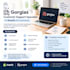 professional gorgias CRM customer service support