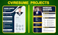 make impressive professional resume design and cv design