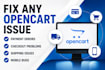 fix bugs and make changes in your opencart website