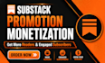 do substack promotion organic substack subscribers substack newsletter