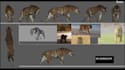 do realistic 3d animal animation, 3d animal model, rig, 3d creature , cgi, vfx