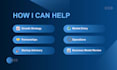 provide professional business consulting services