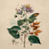 draw botanical watercolor clipart