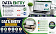 do accurate data entry, excel data entry and PDF conversion