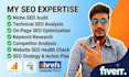 do advanced SEO audit with deep website analysis