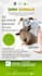 design professional event poster and flyer