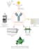 create scientific figures and data visualizations