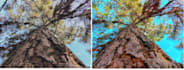 editing imagen and retouching
