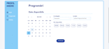 develop a custom web application