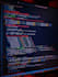 provide expert IT support and software development services