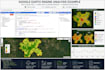 do google earth engine analysis, ndvi and remote sensing