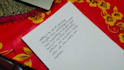 provide professional handwriting services
