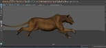 do 3d animal realistic models for games , animations and 3d printing