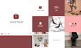 design a professional instagram post carousel