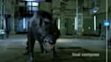 create realistic 3d animal animation and cgi animal compositing