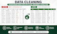 do excel data entry, filtering and data management