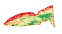 create vegetation maps from satellite or drone images