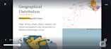 create canva presentations with multimedia