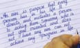 do professional handwritten assignments and notes