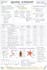 create comprehensive study notes and research summaries