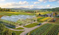 3d green house design ,farm plan landscape design with visualized rendering