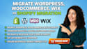 migrate your ecommerce website seamlessly