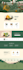 build camping adventure website design