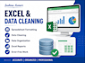 do accurate data entry, excel data cleaning, web research and copy paste