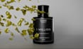 create luxury 3d perfume commercials and product animations