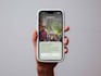 build your native ios app using swift and swiftui