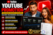 provide professional youtube promotion services designed