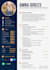 write professional CV resume