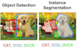 do professional data annotation, bounding boxes, and segmentation masks