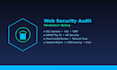 do a professional web security audit and penetration test