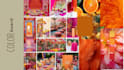 create professional and aesthetic mood board design for your project