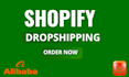 shopify store shopify dropshing via ali express ali baba