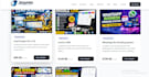 professional website development service