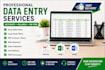 do data entry, excel data entry, PDF to excel and web research