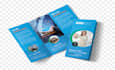 professional logo,brochure and company profile designer