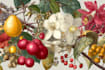 paint custom botanical plants fruits illustration