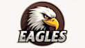 do unique custom american eagle skull head logo design
