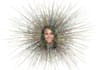 draw awesome scribble art from your photo