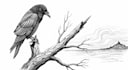 make pen and ink illustrations