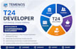 do l3 customisation temenos application