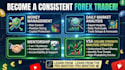 teach profitable forex trading