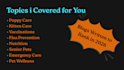 write quality blogs and web content as a vet