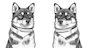 draw your pet into awesome scribble art