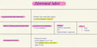 create medical study notes, flashcards and concept summaries