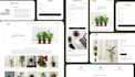 do develop full stack web application using react and spring boot
