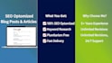 write SEO optimized blog posts and articals